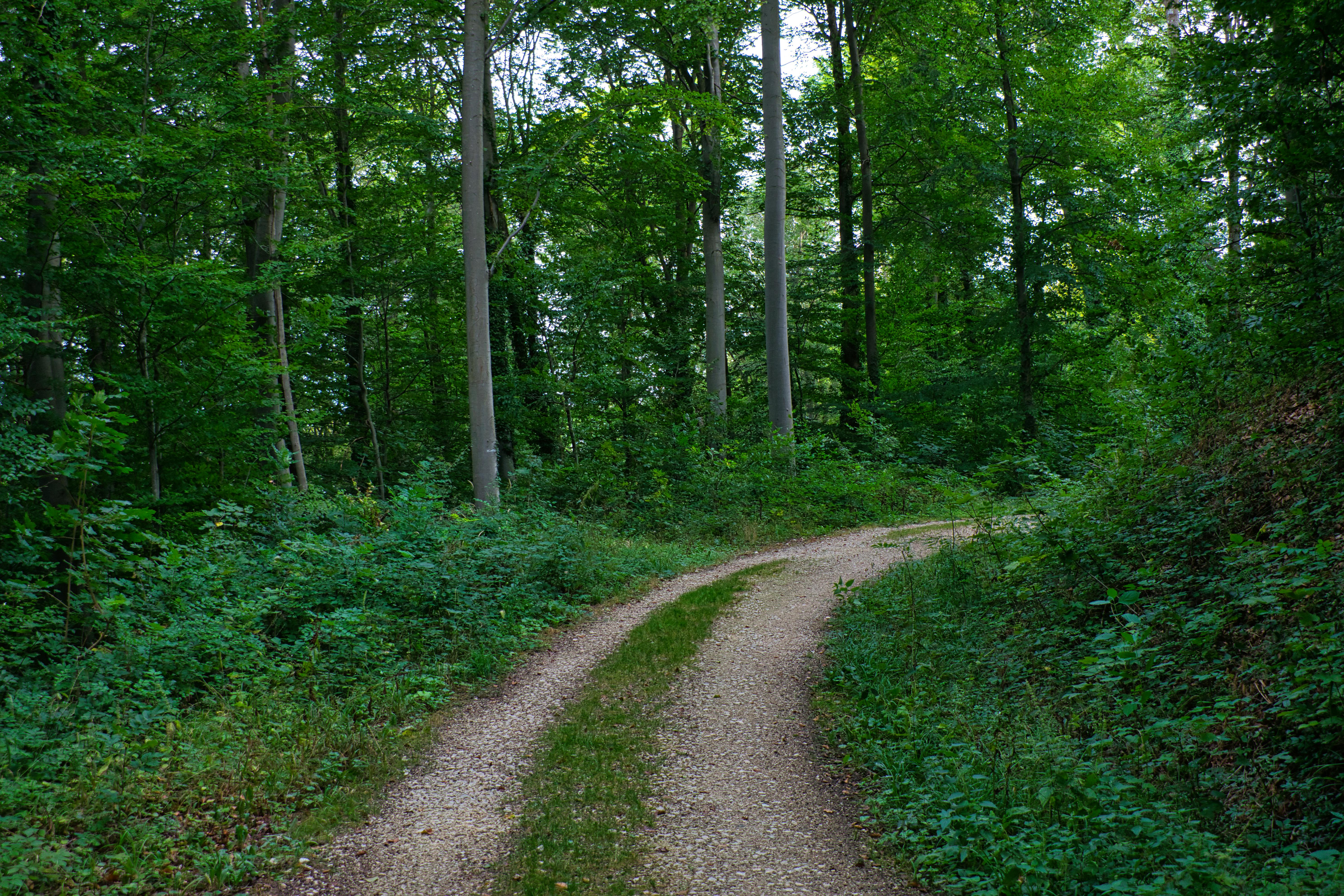 Stadtblick in Aalen - SEO Agentur Aalen und Webdesign Aalen