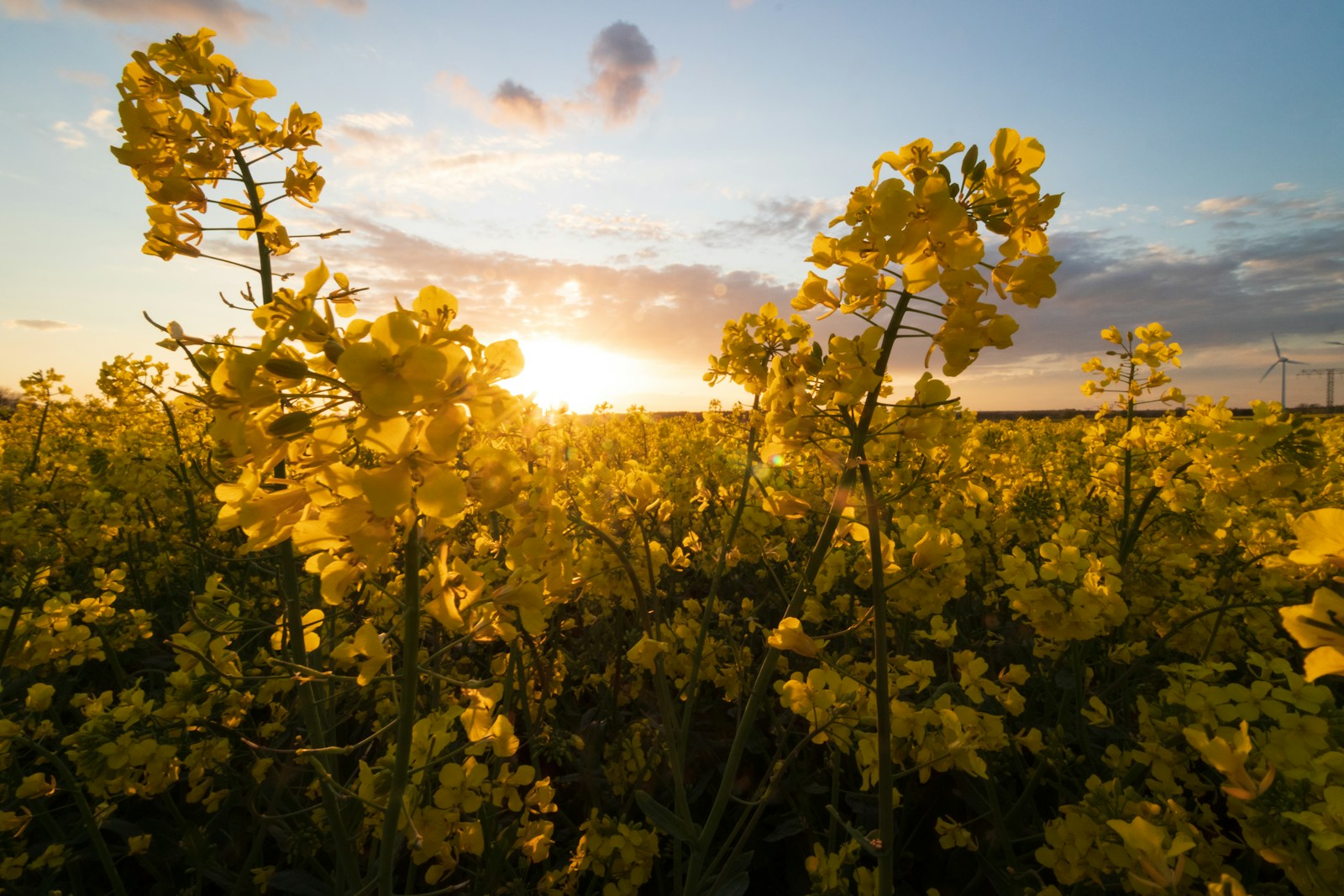 Stadtblick in Wolgast - SEO Agentur Wolgast und Webdesign Wolgast