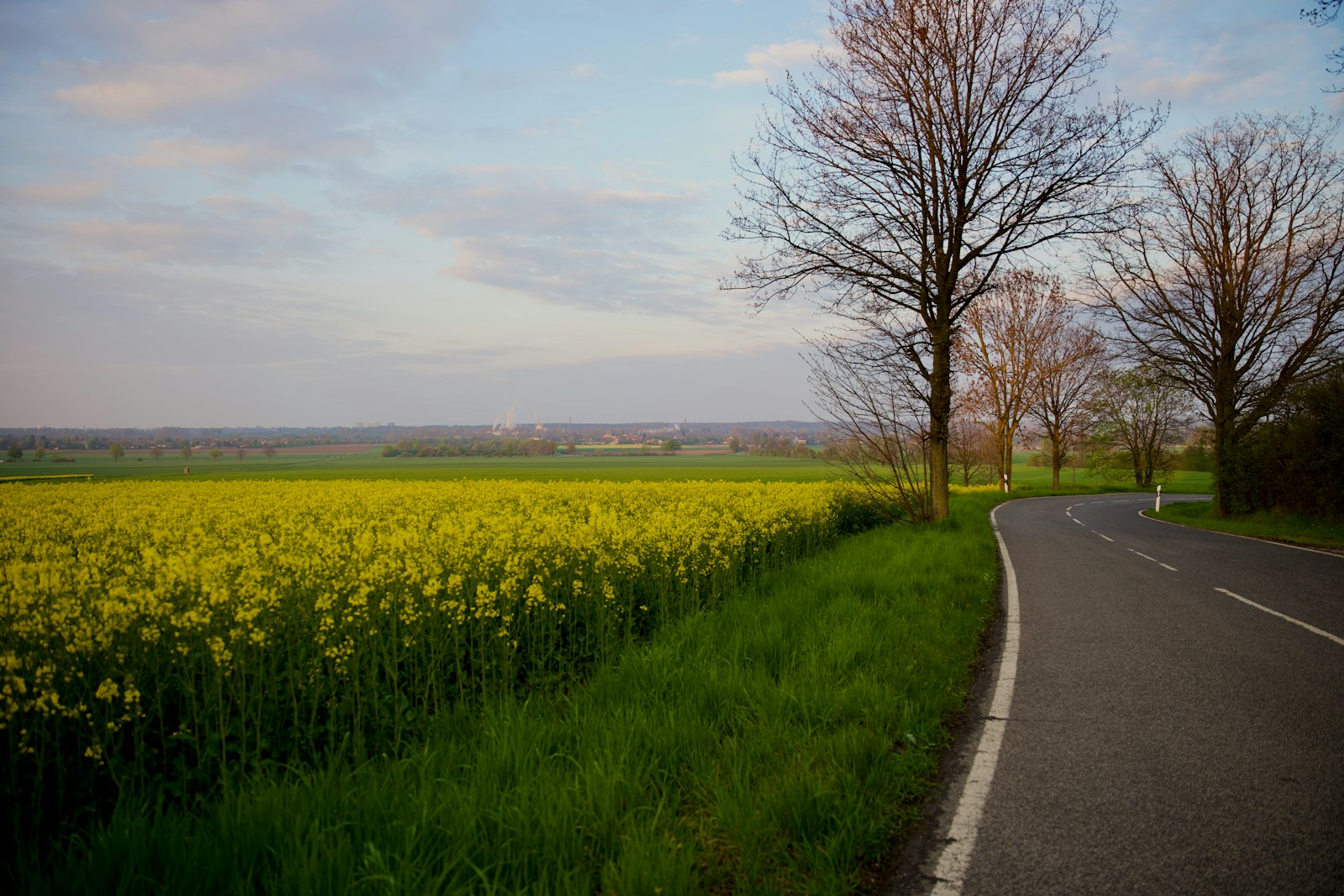 Stadtblick in Düren - SEO Agentur Düren und Webdesign Düren