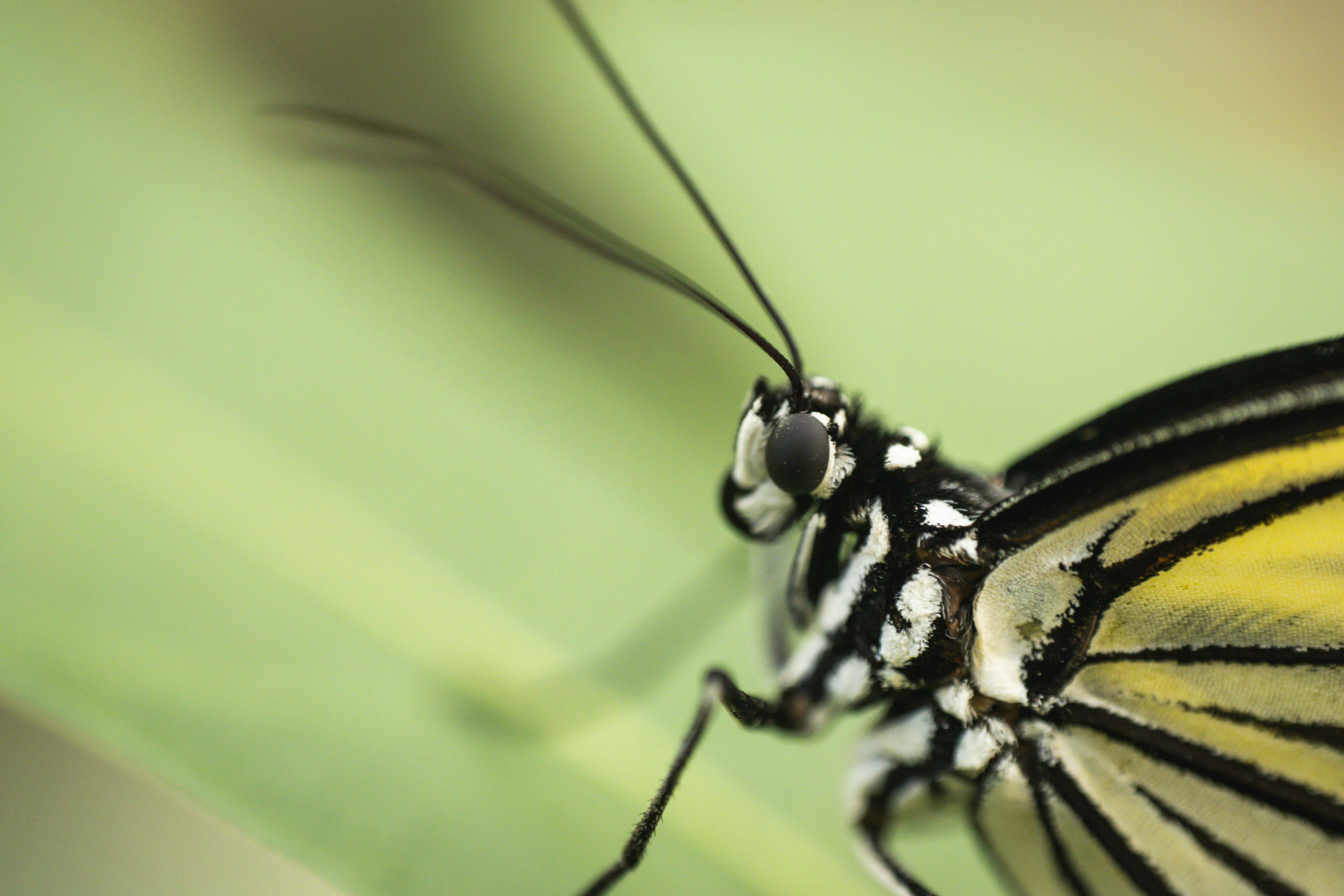 Stadtblick in Bendorf - SEO Agentur Bendorf und Webdesign Bendorf