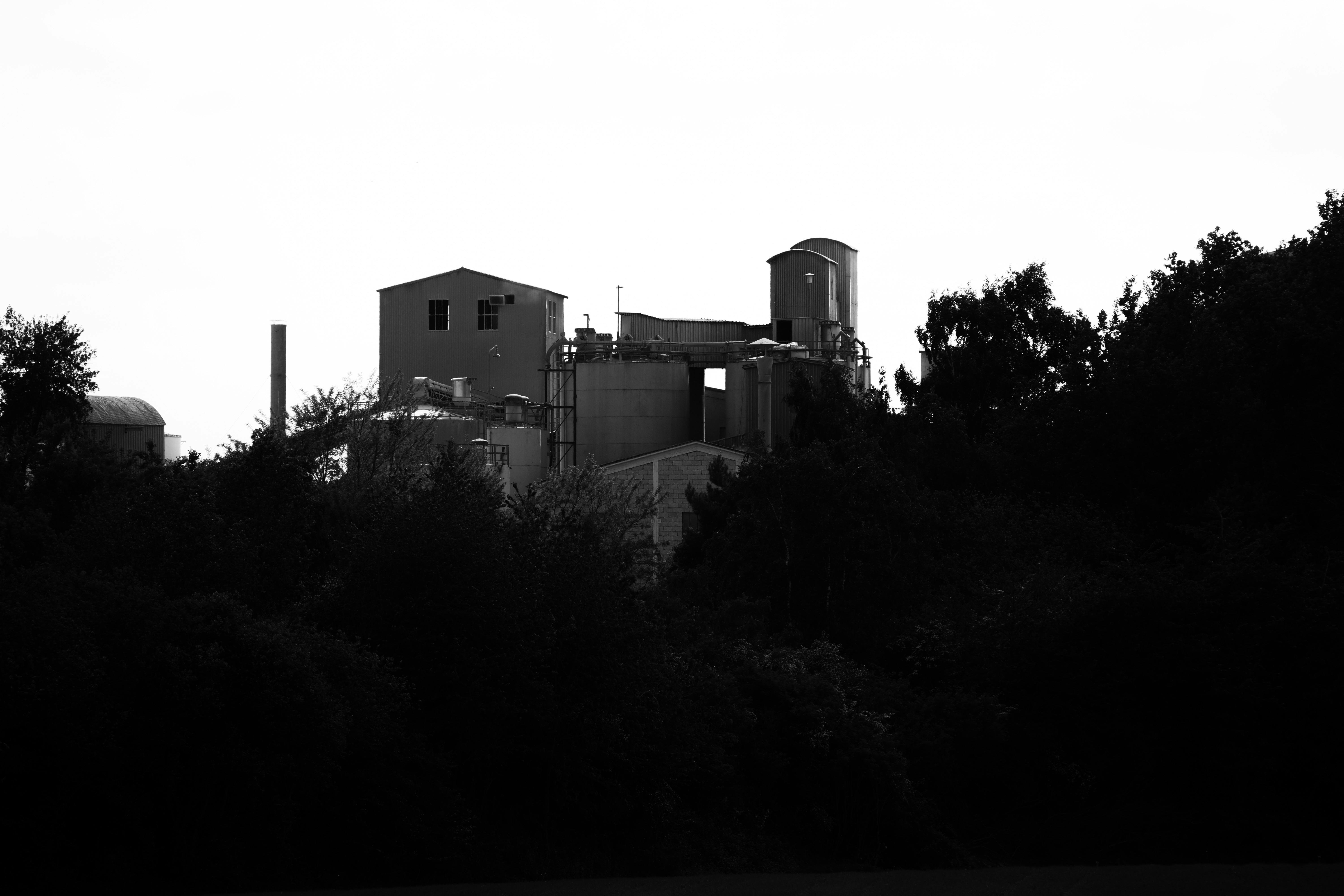 Stadtblick in Remagen - SEO Agentur Remagen und Webdesign Remagen