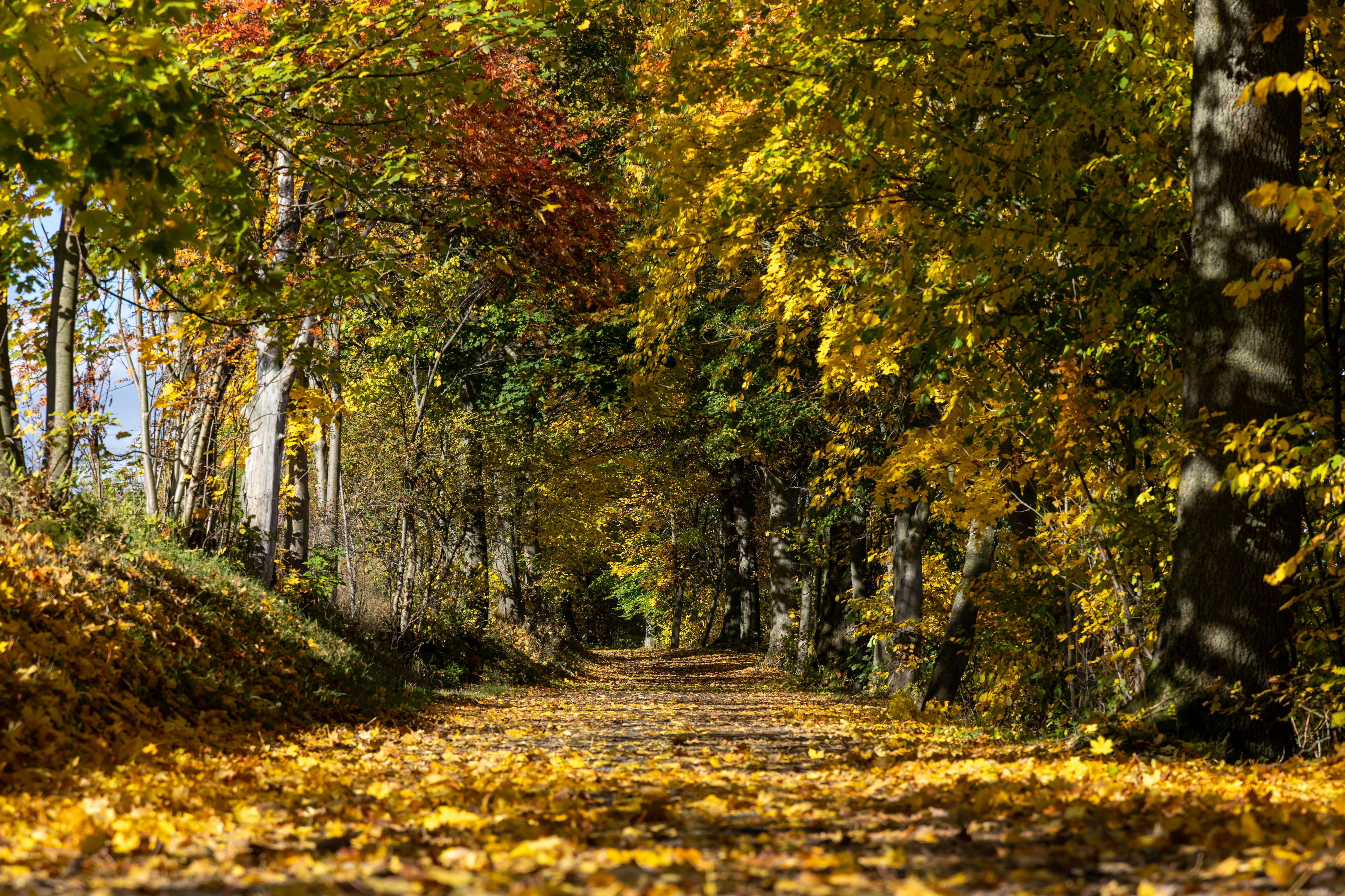 Stadtblick in Annaberg Buchholz - SEO Agentur Annaberg Buchholz und Webdesign Annaberg Buchholz