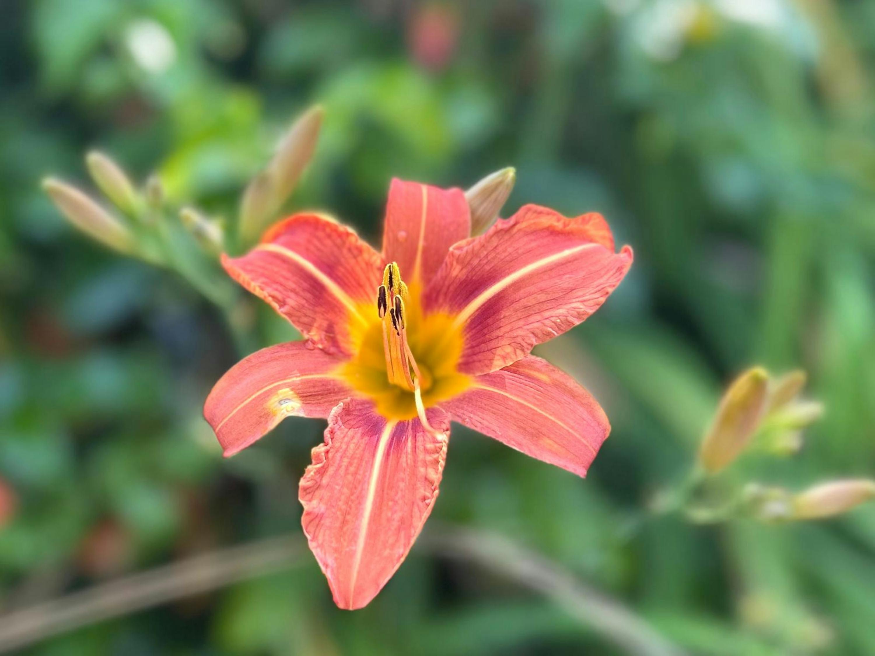 Stadtblick in Freital - Webdesigner Freital