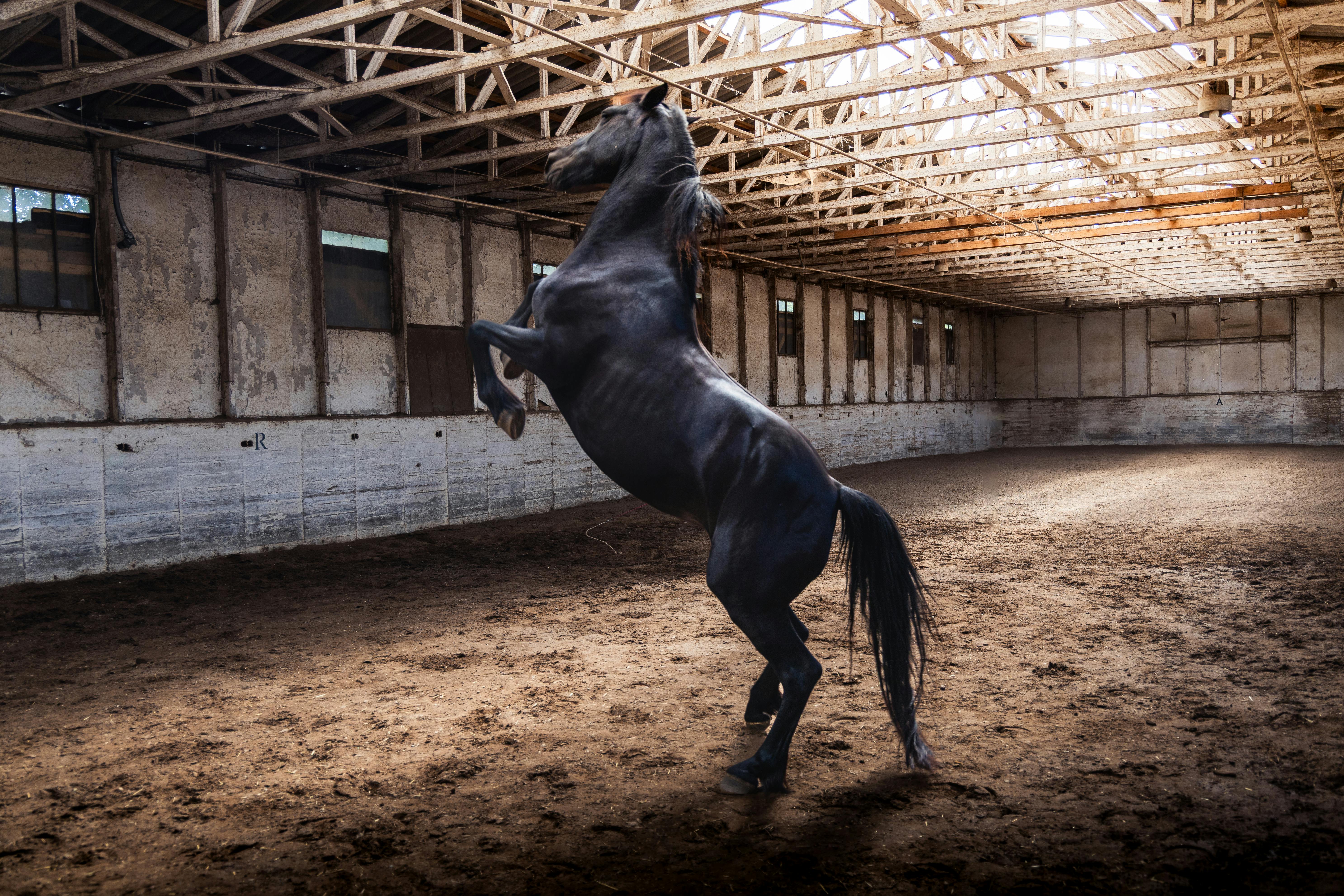 Stadtblick in Leipzig - SEO Agentur Leipzig und Webdesign Leipzig