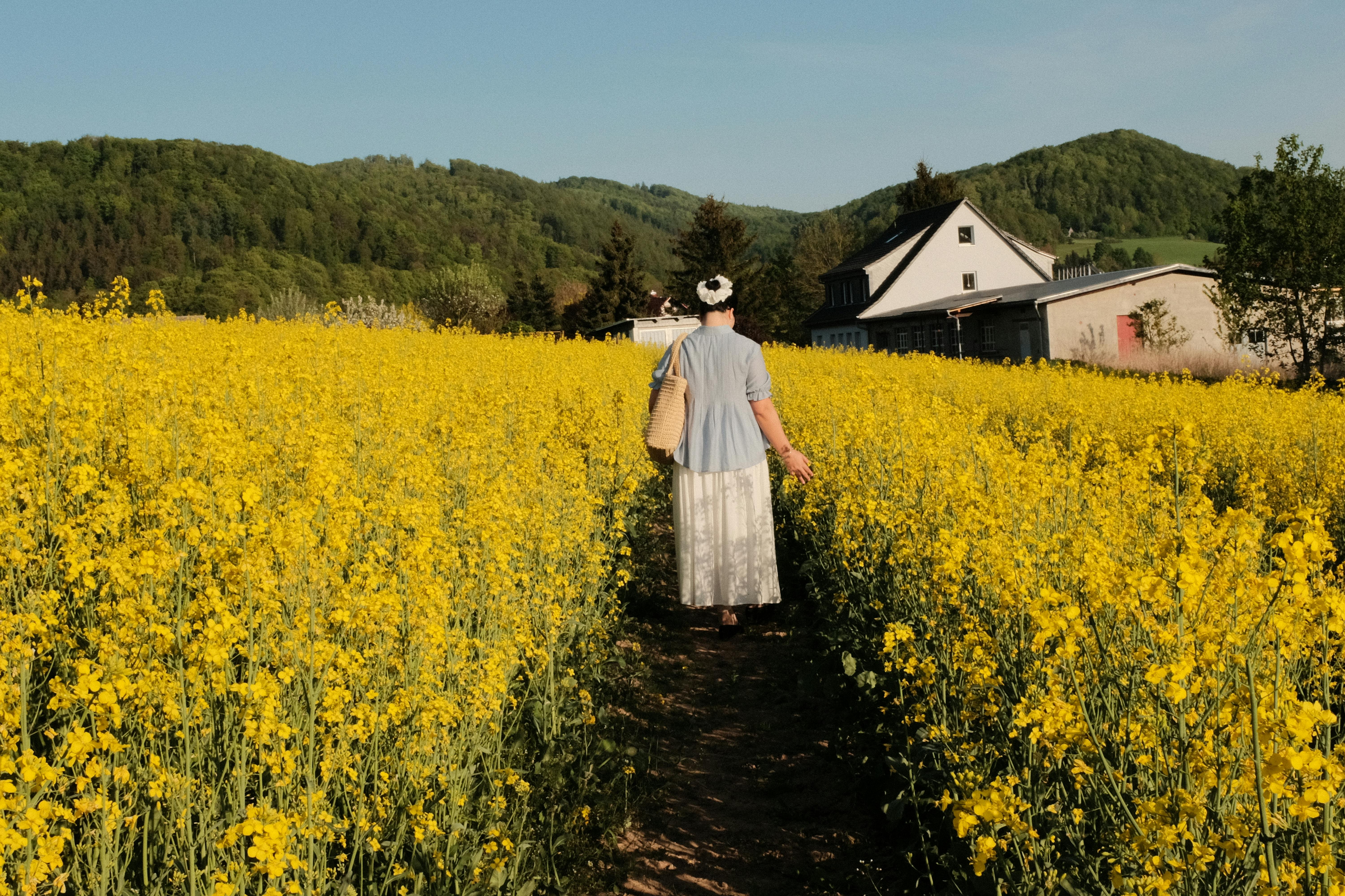 Stadtblick in Schmalkalden - SEO Agentur Schmalkalden und Webdesign Schmalkalden