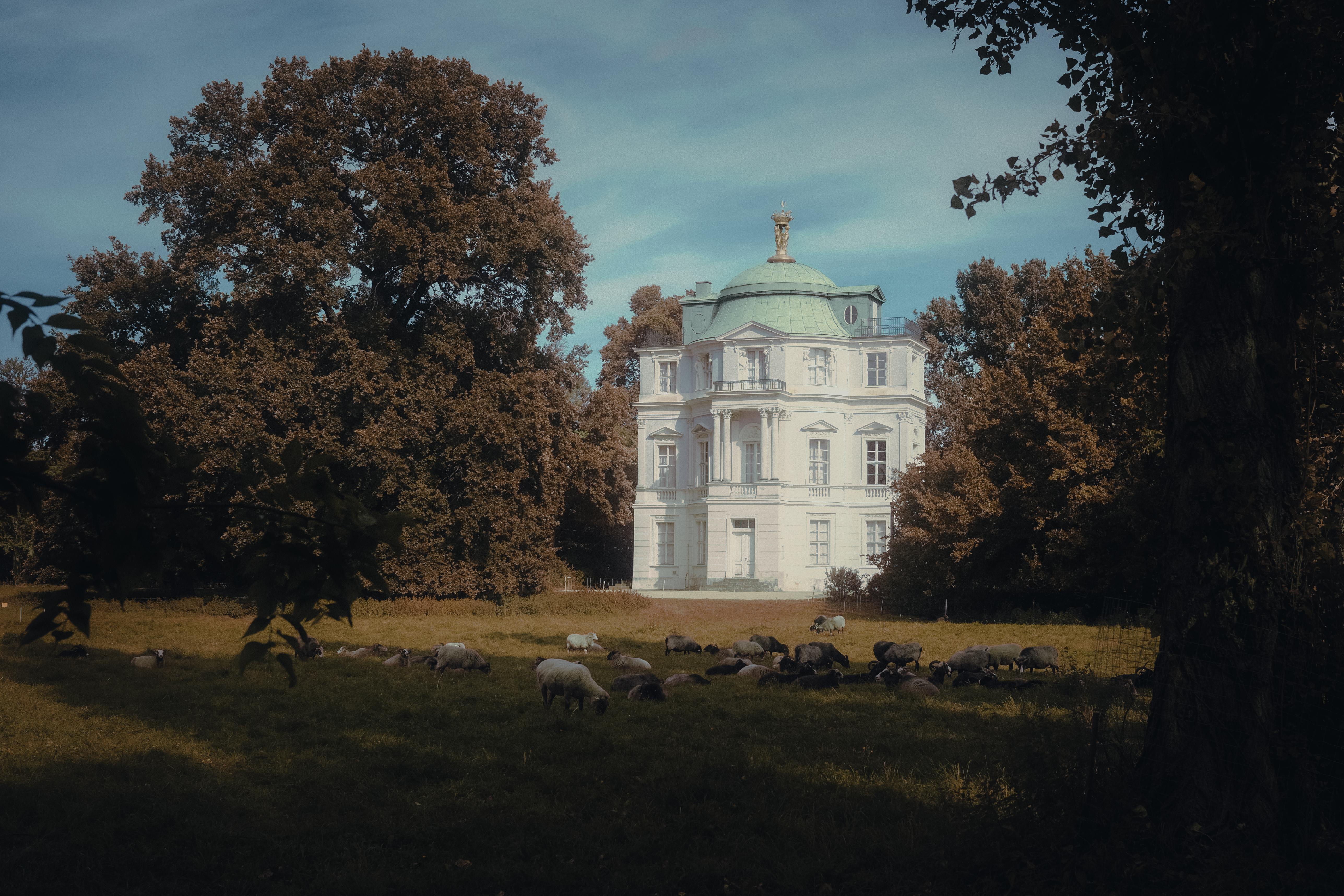 Region Berlin - Region in Berlin - SEO Agentur, Webdesign und KI-Automatisierung