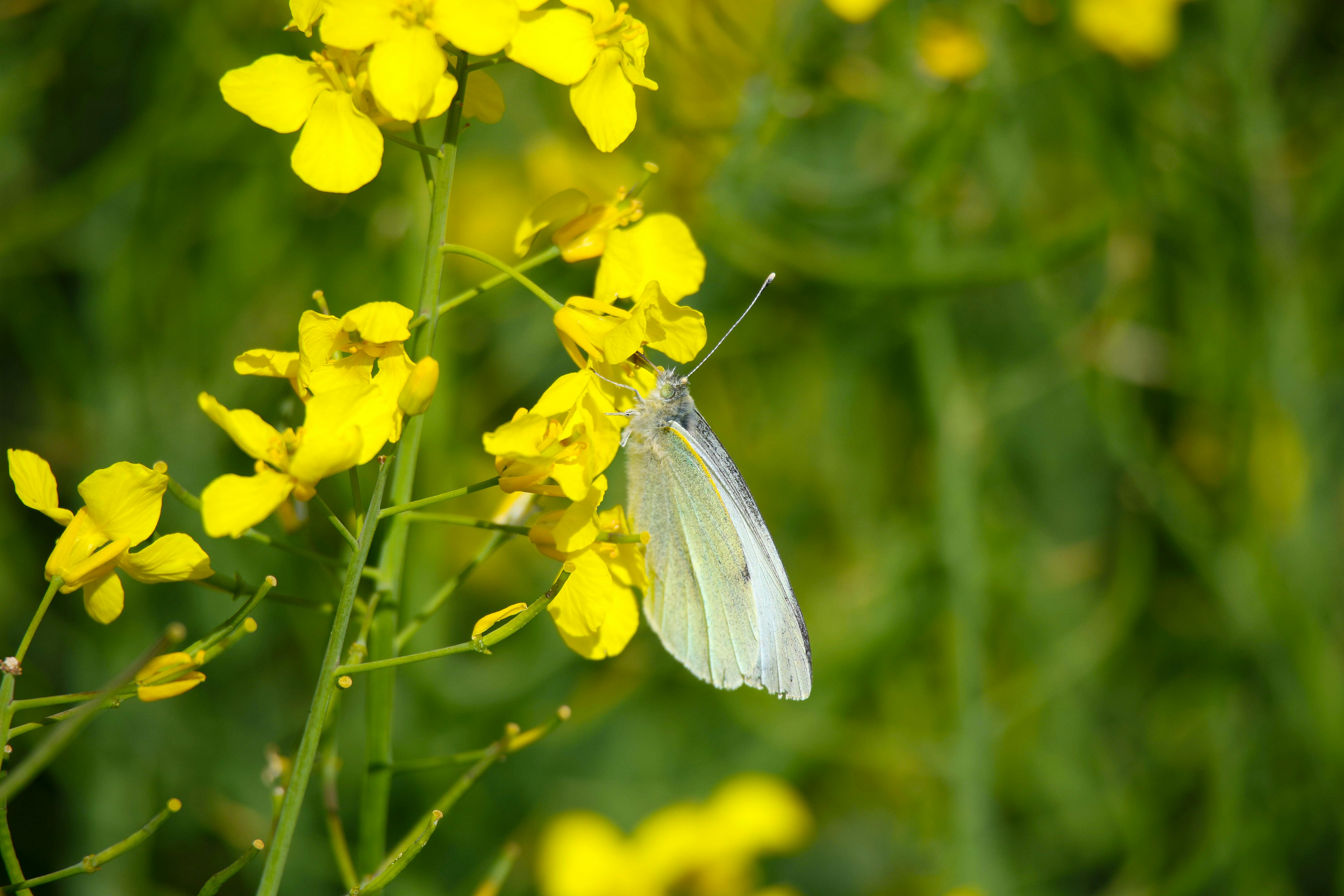 Mitte Rheinland-Pfalz - Region in Rheinland-Pfalz - SEO Agentur, Webdesign und KI-Automatisierung