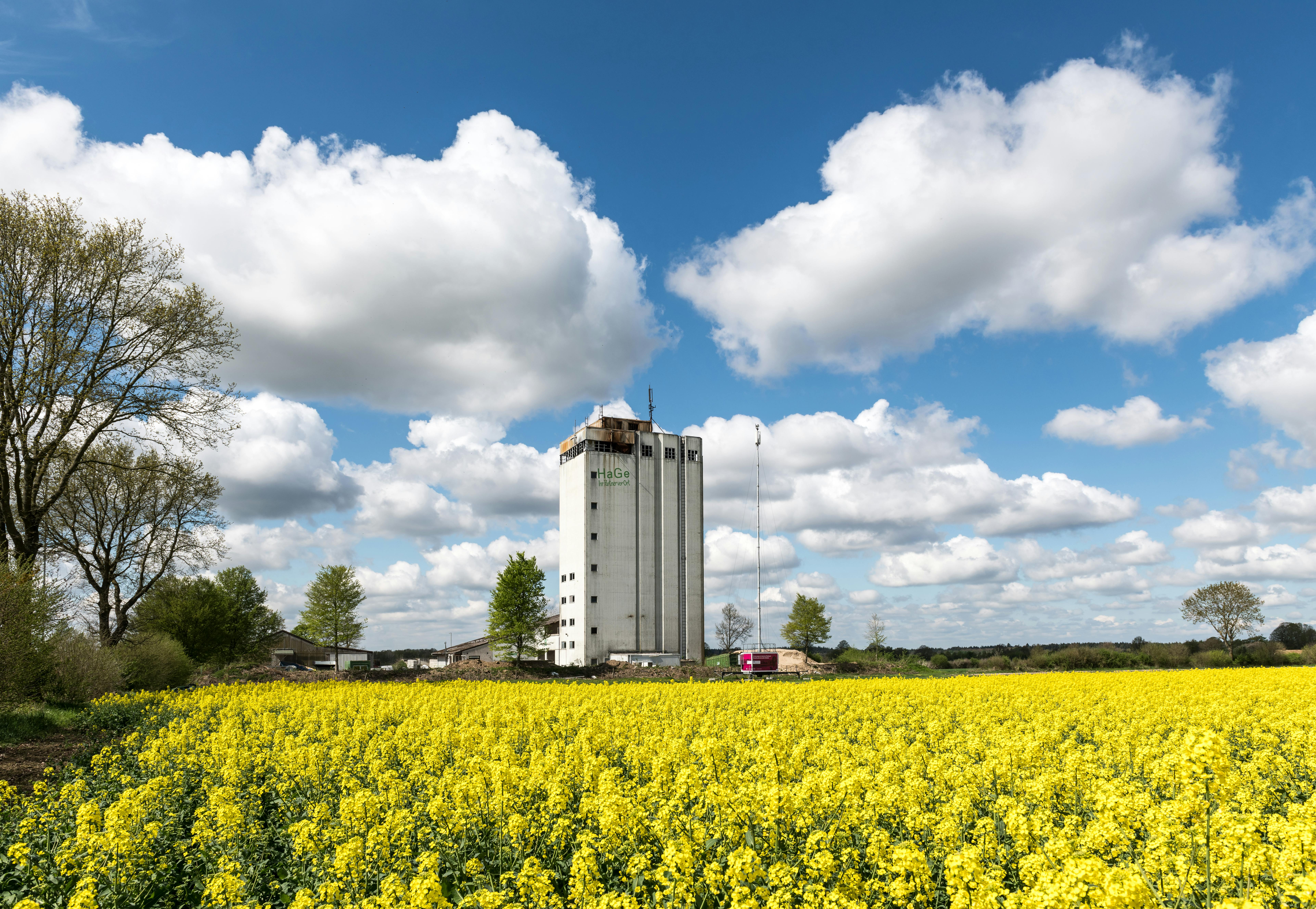 Mitte Schleswig-Holstein - Region in Schleswig-Holstein - SEO Agentur, Webdesign und KI-Automatisierung