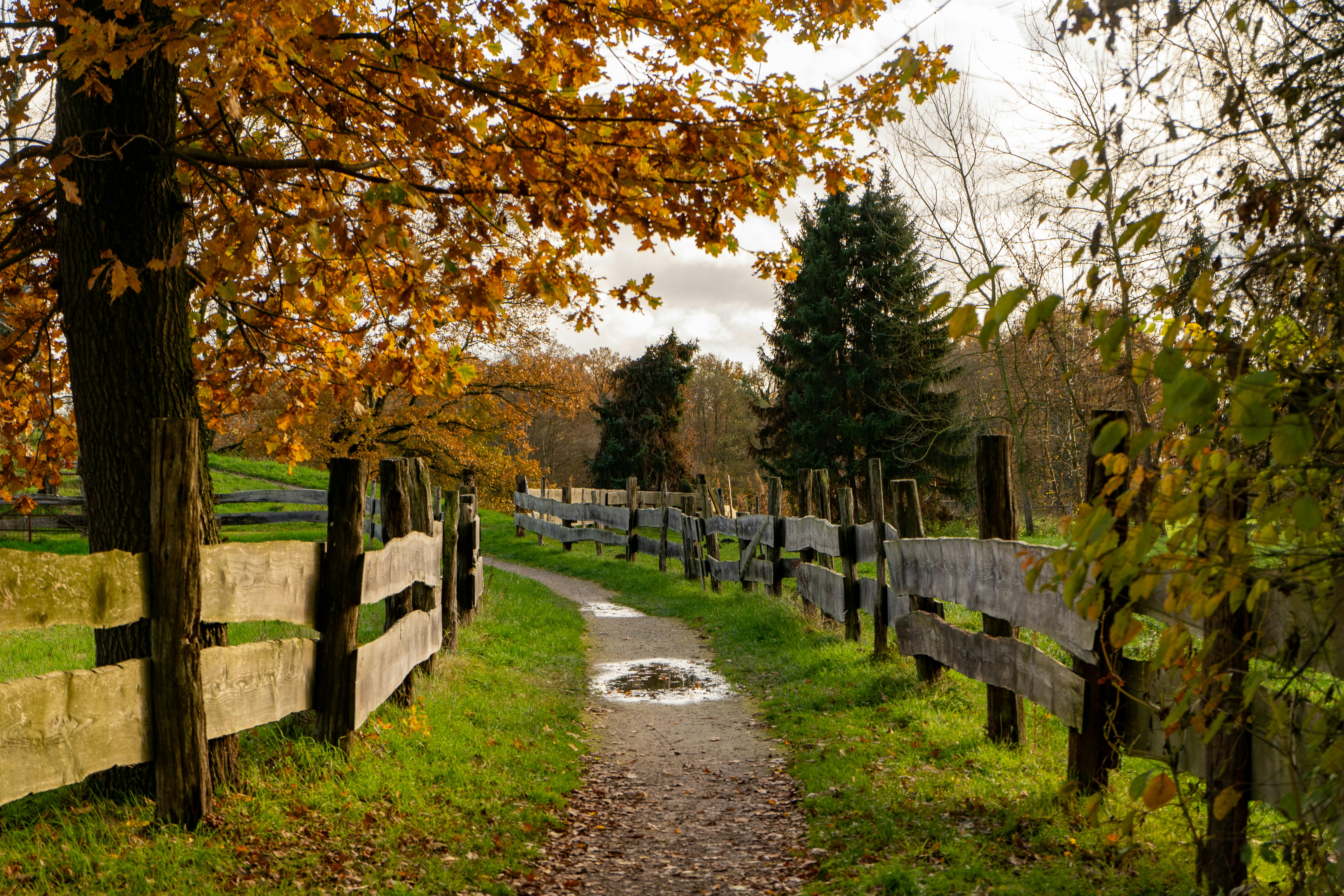 Nordrhein-Westfalen - Bundesland in Deutschland - SEO Agentur, Webdesign und KI-Automatisierung